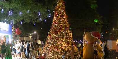 Arvore-de-Natal